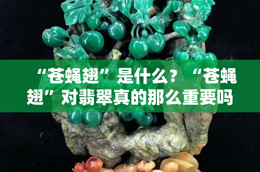 “苍蝇翅”是什么？“苍蝇翅”对翡翠真的那么重要吗?