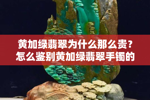 黄加绿翡翠为什么那么贵？怎么鉴别黄加绿翡翠手镯的真假？