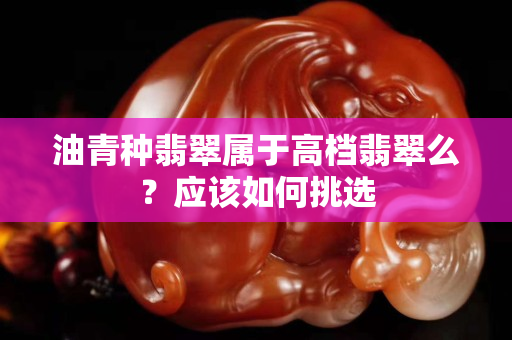 油青种翡翠属于高档翡翠么？应该如何挑选