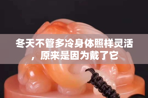 冬天不管多冷身体照样灵活，原来是因为戴了它