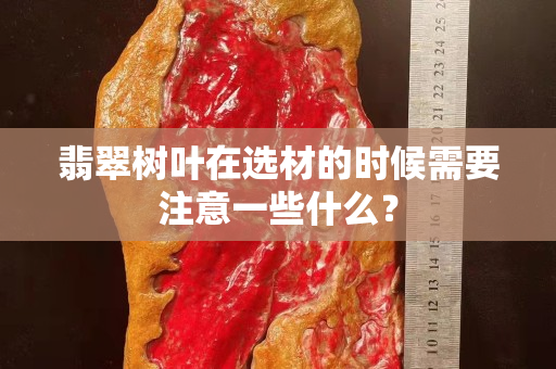 翡翠树叶在选材的时候需要注意一些什么？
