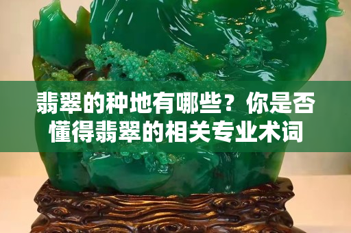 翡翠的种地有哪些？你是否懂得翡翠的相关专业术词