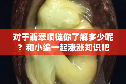 对于翡翠项链你了解多少呢？和小编一起涨涨知识吧