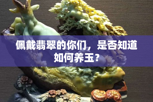 佩戴翡翠的你们，是否知道如何养玉？