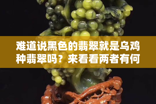 难道说黑色的翡翠就是乌鸡种翡翠吗？来看看两者有何不同吧
