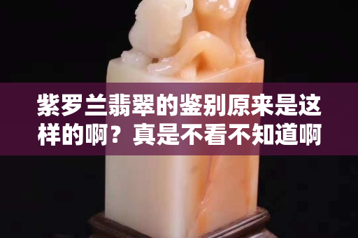 紫罗兰翡翠的鉴别原来是这样的啊？真是不看不知道啊