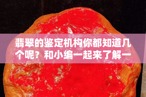 翡翠的鉴定机构你都知道几个呢？和小编一起来了解一下。