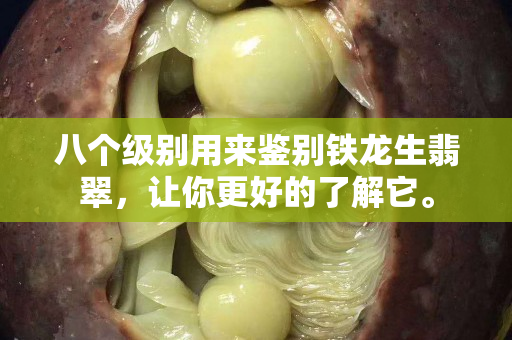 八个级别用来鉴别铁龙生翡翠，让你更好的了解它。