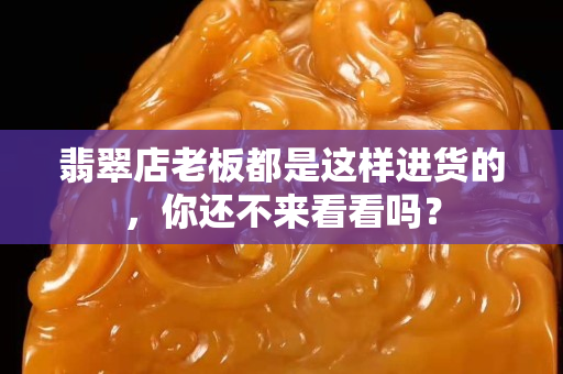 翡翠店老板都是这样进货的，你还不来看看吗？
