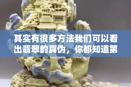 其实有很多方法我们可以看出翡翠的真伪，你都知道第几个呢？