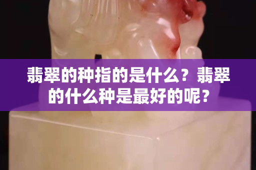 翡翠的种指的是什么？翡翠的什么种是最好的呢？