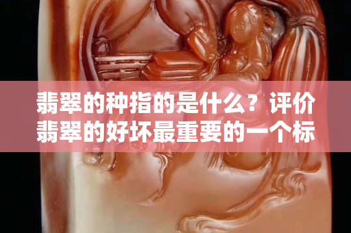 翡翠的种指的是什么？评价翡翠的好坏最重要的一个标准就是“种”