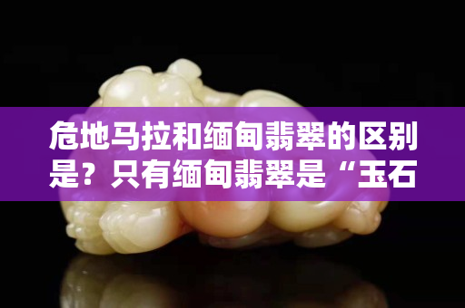 危地马拉和缅甸翡翠的区别是？只有缅甸翡翠是“玉石之王”的原因