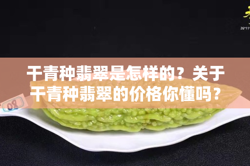 干青种翡翠是怎样的？关于干青种翡翠的价格你懂吗？
