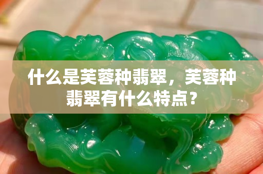什么是芙蓉种翡翠，芙蓉种翡翠有什么特点？