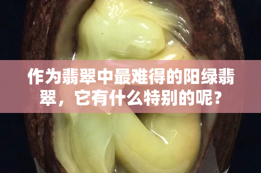 作为翡翠中最难得的阳绿翡翠，它有什么特别的呢？