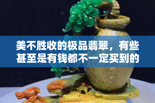 美不胜收的极品翡翠，有些甚至是有钱都不一定买到的。
