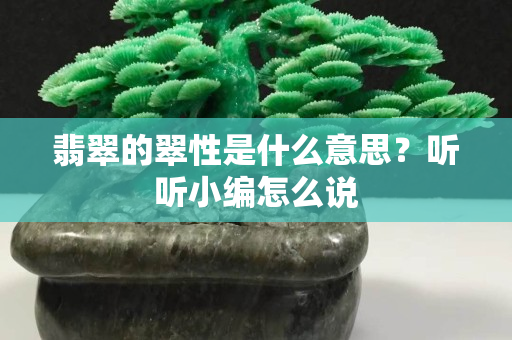 翡翠的翠性是什么意思？听听小编怎么说