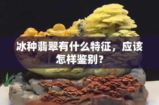 冰种翡翠有什么特征，应该怎样鉴别？