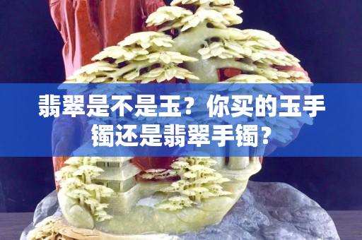 翡翠是不是玉？你买的玉手镯还是翡翠手镯？