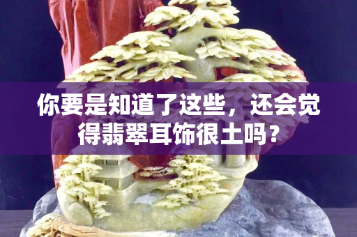 你要是知道了这些，还会觉得翡翠耳饰很土吗？