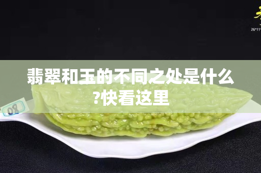 翡翠和玉的不同之处是什么?快看这里