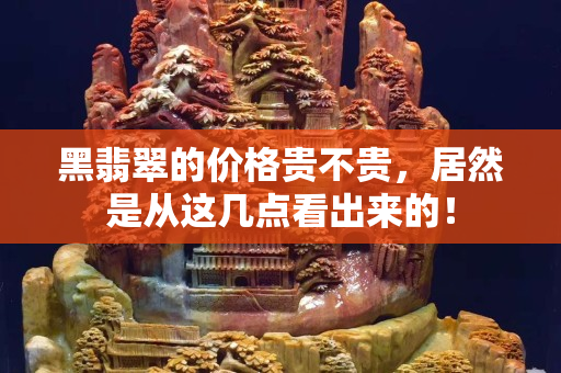 黑翡翠的价格贵不贵，居然是从这几点看出来的！