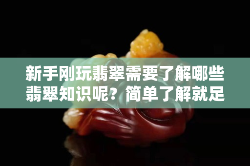新手刚玩翡翠需要了解哪些翡翠知识呢？简单了解就足够