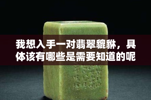 我想入手一对翡翠貔貅，具体该有哪些是需要知道的呢？