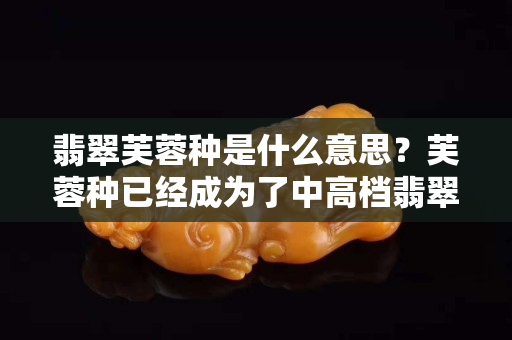 翡翠芙蓉种是什么意思？芙蓉种已经成为了中高档翡翠制作的主料