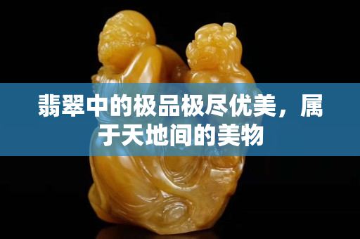 翡翠中的极品极尽优美，属于天地间的美物