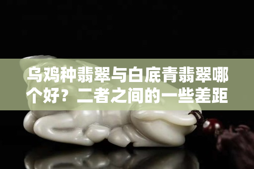 乌鸡种翡翠与白底青翡翠哪个好？二者之间的一些差距