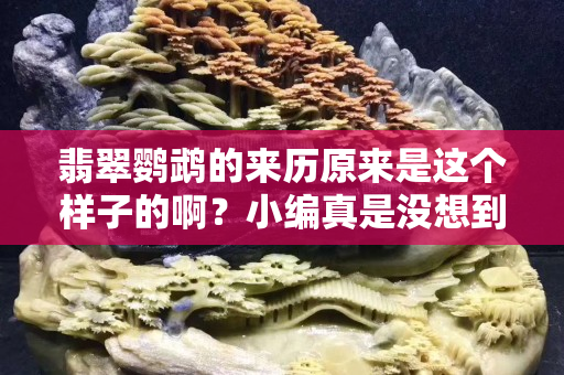 翡翠鹦鹉的来历原来是这个样子的啊？小编真是没想到啊