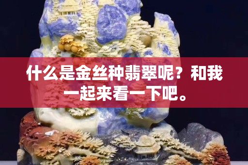 什么是金丝种翡翠呢？和我一起来看一下吧。