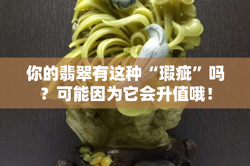 你的翡翠有这种“瑕疵”吗？可能因为它会升值哦！