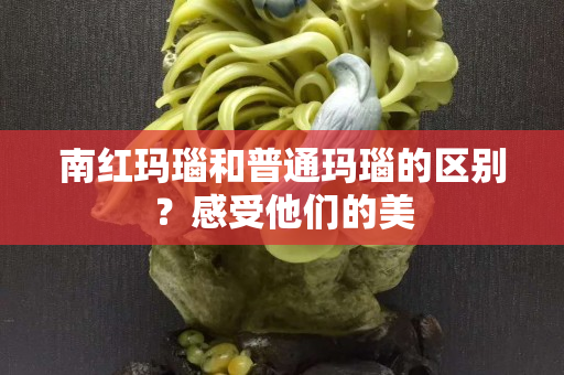 南红玛瑙和普通玛瑙的区别？感受他们的美