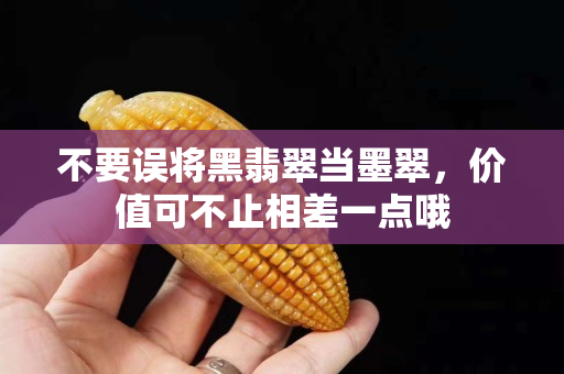 不要误将黑翡翠当墨翠，价值可不止相差一点哦