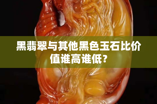 黑翡翠与其他黑色玉石比价值谁高谁低？