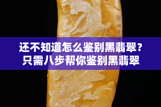 还不知道怎么鉴别黑翡翠？只需八步帮你鉴别黑翡翠