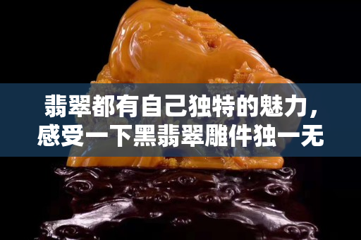 翡翠都有自己独特的魅力，感受一下黑翡翠雕件独一无二的魅力
