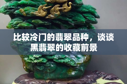 比较冷门的翡翠品种，谈谈黑翡翠的收藏前景