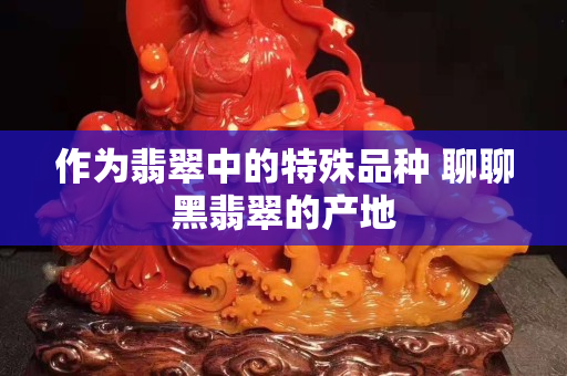作为翡翠中的特殊品种 聊聊黑翡翠的产地