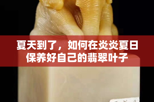 夏天到了，如何在炎炎夏日保养好自己的翡翠叶子