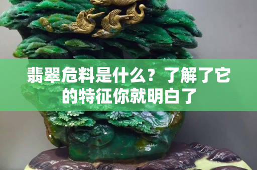 翡翠危料是什么？了解了它的特征你就明白了