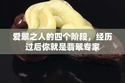 爱翠之人的四个阶段，经历过后你就是翡翠专家