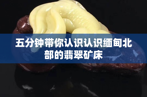 五分钟带你认识认识缅甸北部的翡翠矿床