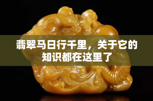 翡翠马日行千里，关于它的知识都在这里了