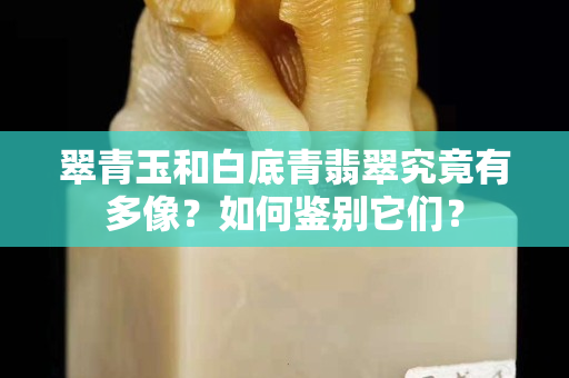 翠青玉和白底青翡翠究竟有多像？如何鉴别它们？