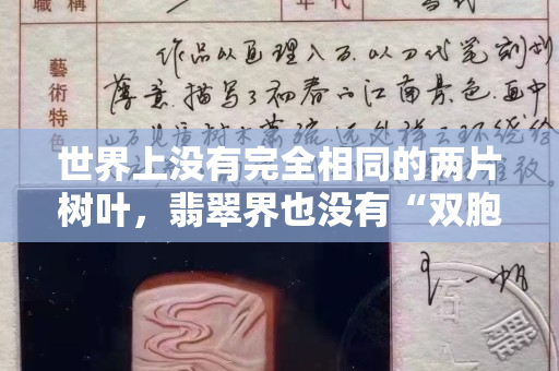 世界上没有完全相同的两片树叶，翡翠界也没有“双胞胎”翡翠