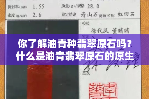 你了解油青种翡翠原石吗？什么是油青翡翠原石的原生色和次生色？